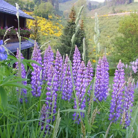 Modern In Sauerland With Balcony Apartment *