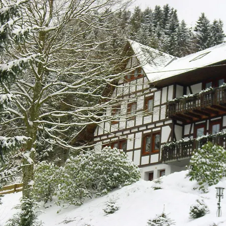Apartment Modern In Sauerland With Balcony Schmallenberg