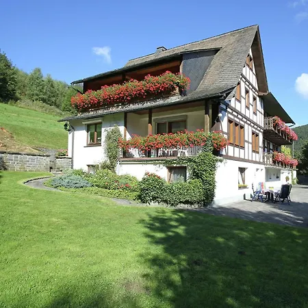 Modern In Sauerland With Balcony