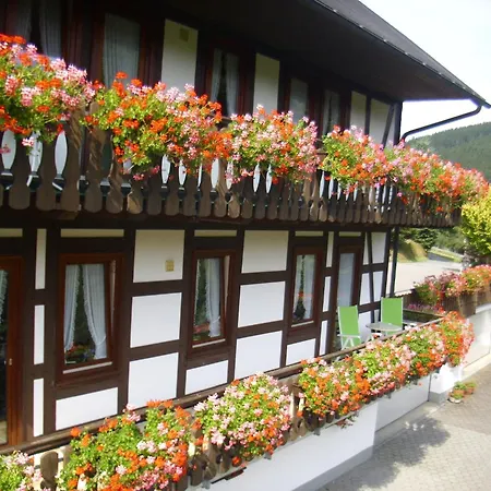 Modern In Sauerland With Balcony * שמאלנברג