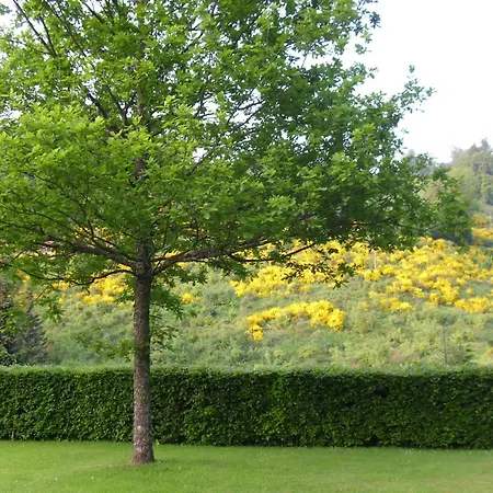 Modern In Sauerland With Balcony דירה
