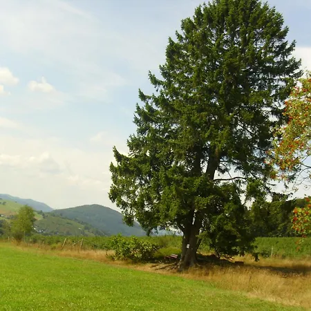 Modern In Sauerland With Balcony שמאלנברג
