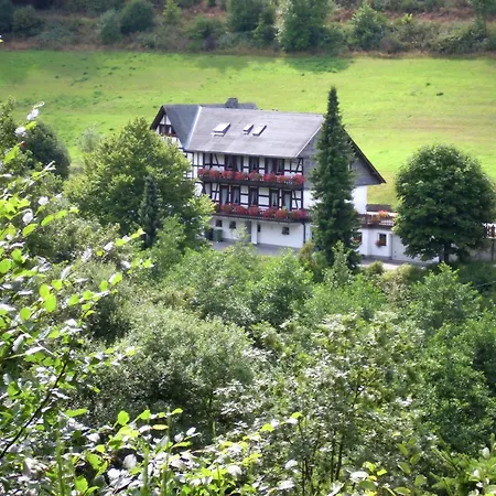 דירה Modern In Sauerland With Balcony שמאלנברג