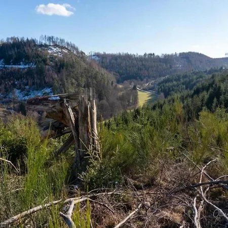 Modern In Sauerland With Balcony דירה *