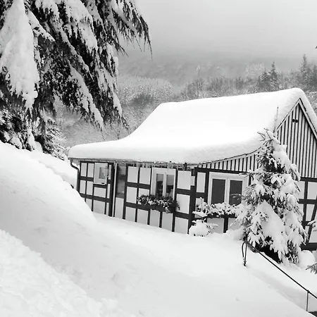 דירה Modern In Sauerland With Balcony שמאלנברג