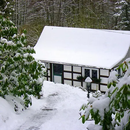Modern In Sauerland With Balcony דירה